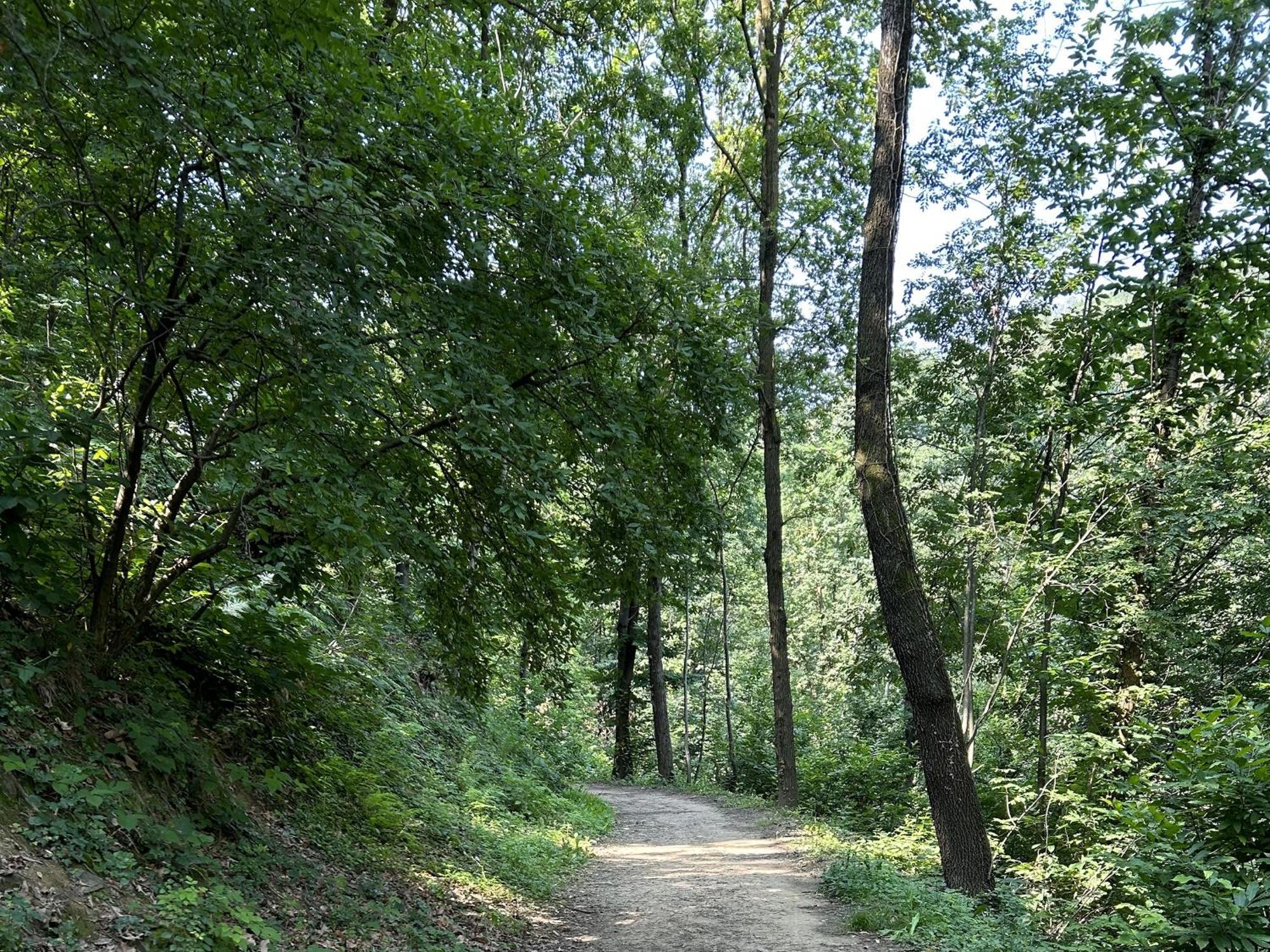 Il Giardino Di Berbech Citta Alta-Ulivo Appartement Bergamo Buitenkant foto